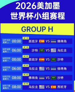 2026世界杯激烈比赛场景